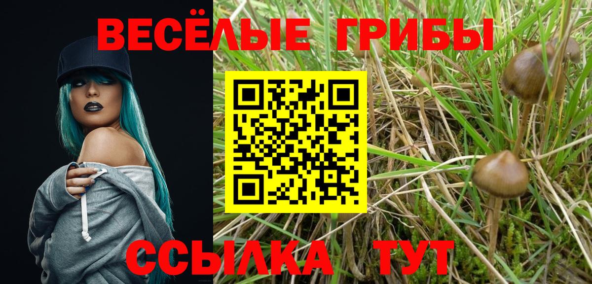 Псилоцибиновые грибы MAGIC MUSHROOMS Сокол